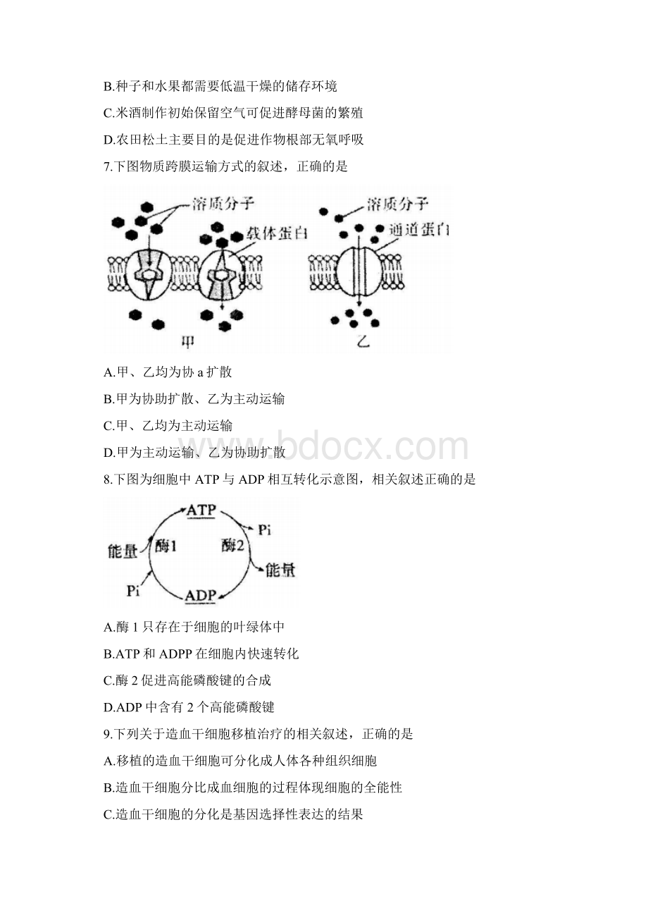 江苏省徐州市学年高二年级学业水平模拟测试生物试题.docx_第2页