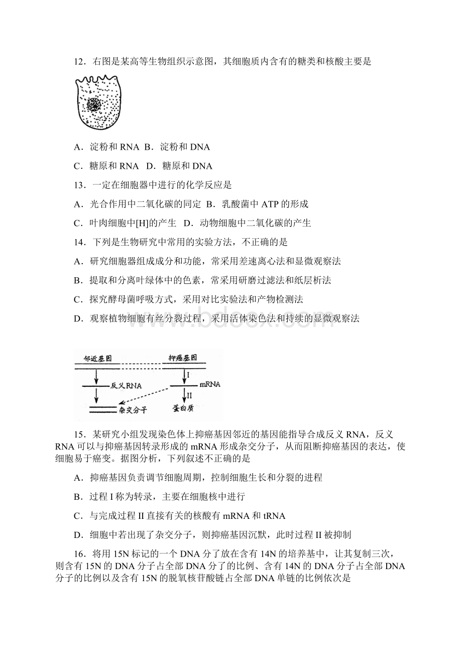 山东省威海市乳山市届高三生物上学期期中试题无答案Word下载.docx_第3页