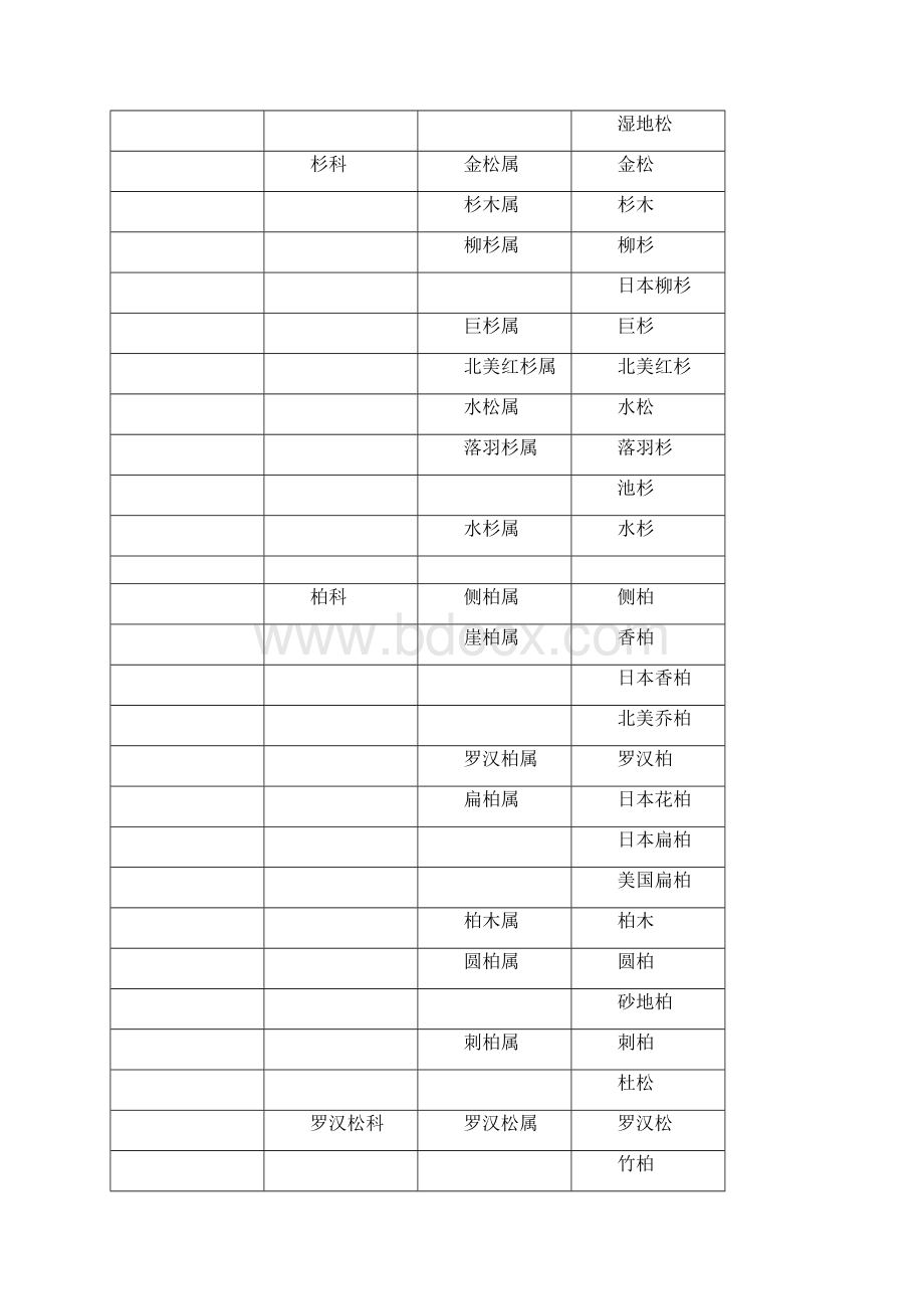 植物分科属检索表Word文档下载推荐.docx_第3页