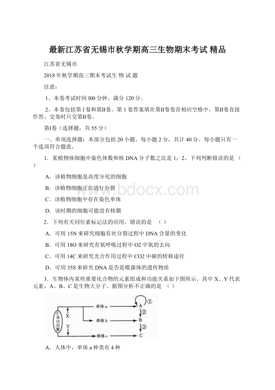 最新江苏省无锡市秋学期高三生物期末考试 精品Word文档下载推荐.docx_第1页