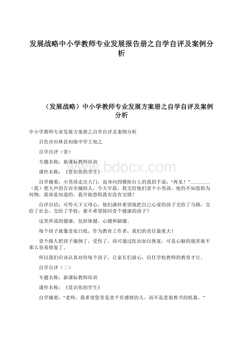 发展战略中小学教师专业发展报告册之自学自评及案例分析.docx