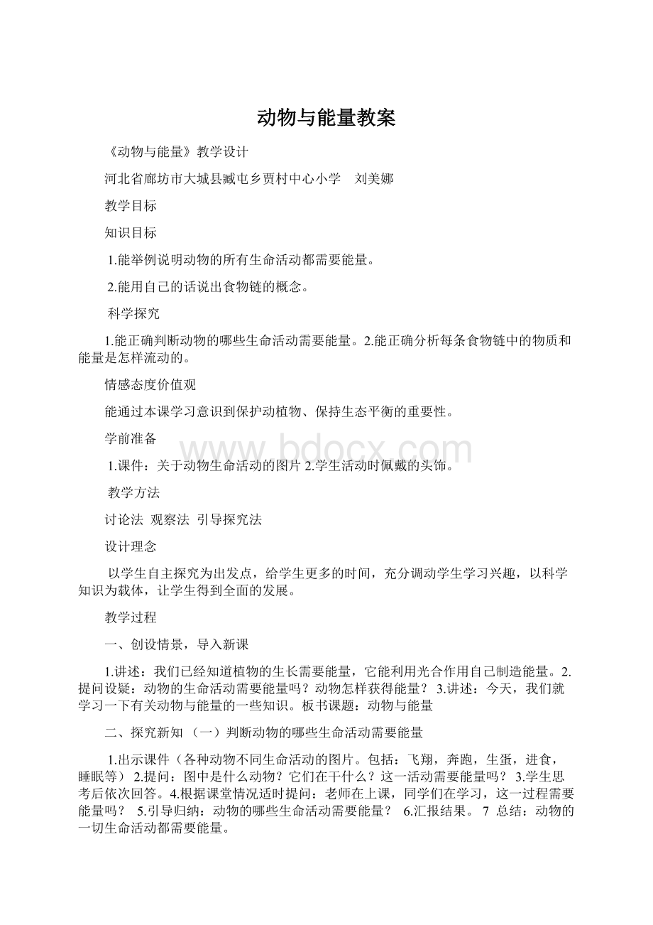 动物与能量教案.docx