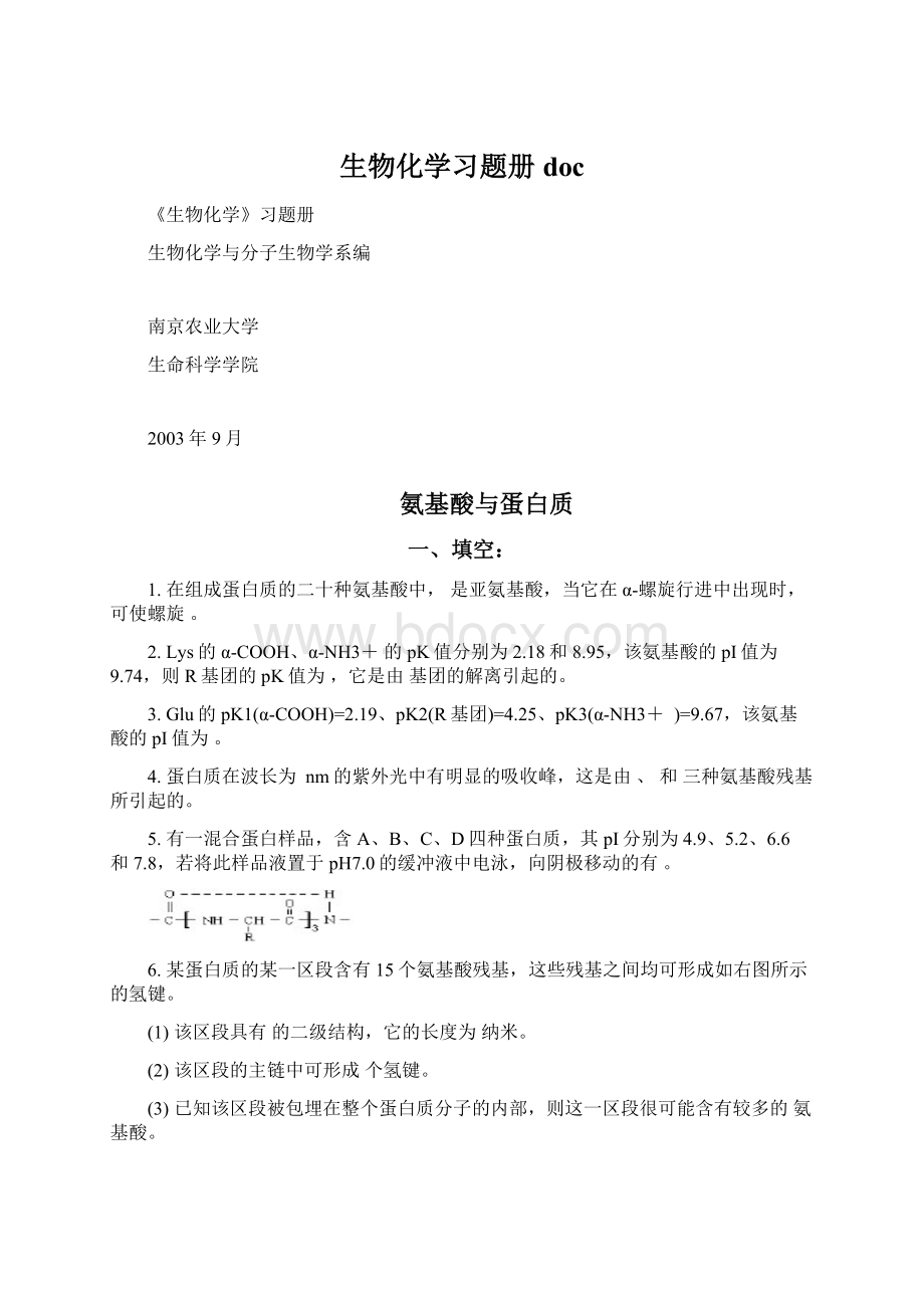 生物化学习题册doc.docx_第1页