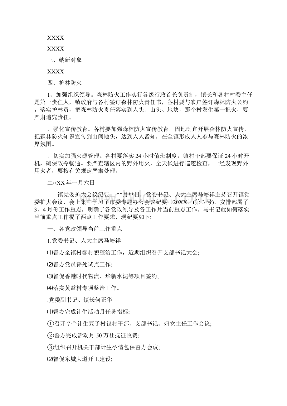 镇党委扩大会议纪要.docx_第2页