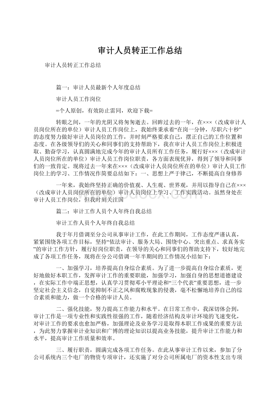 审计人员转正工作总结文档格式.docx_第1页