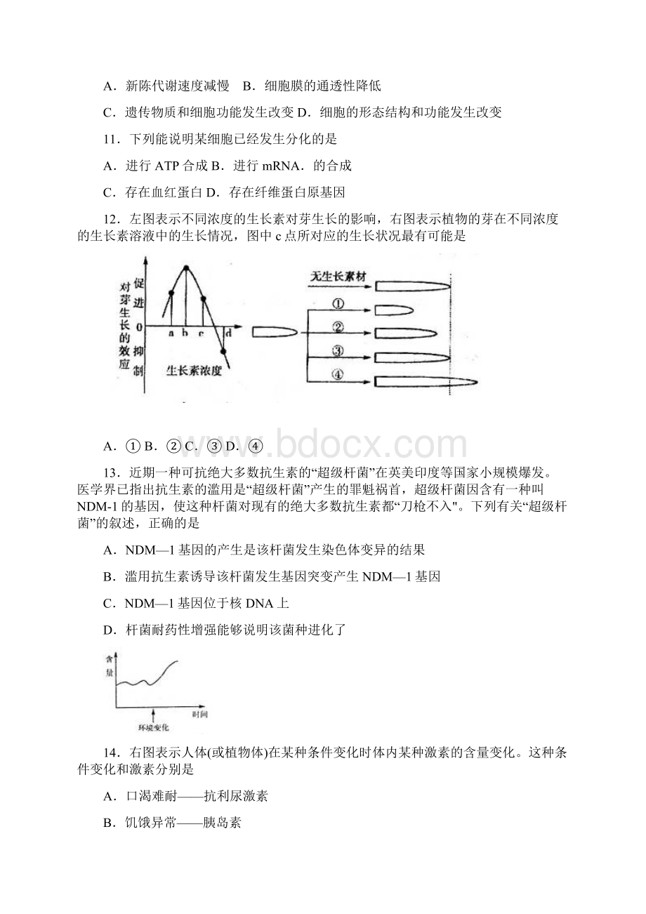 统考济宁市届高三上学期期末测试试题生物Word格式.docx_第3页