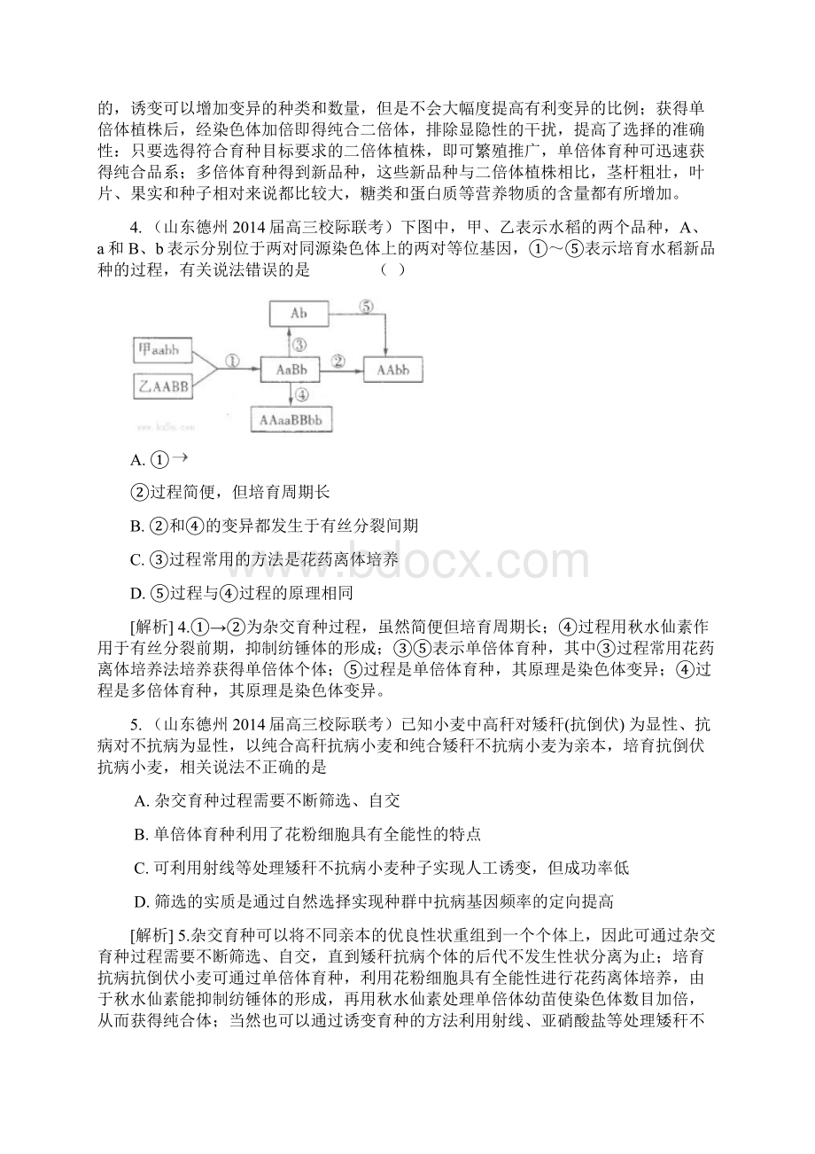 高考生物大一轮复习 生物变异原理在育种上的应用精品试题含试题Word文档格式.docx_第2页