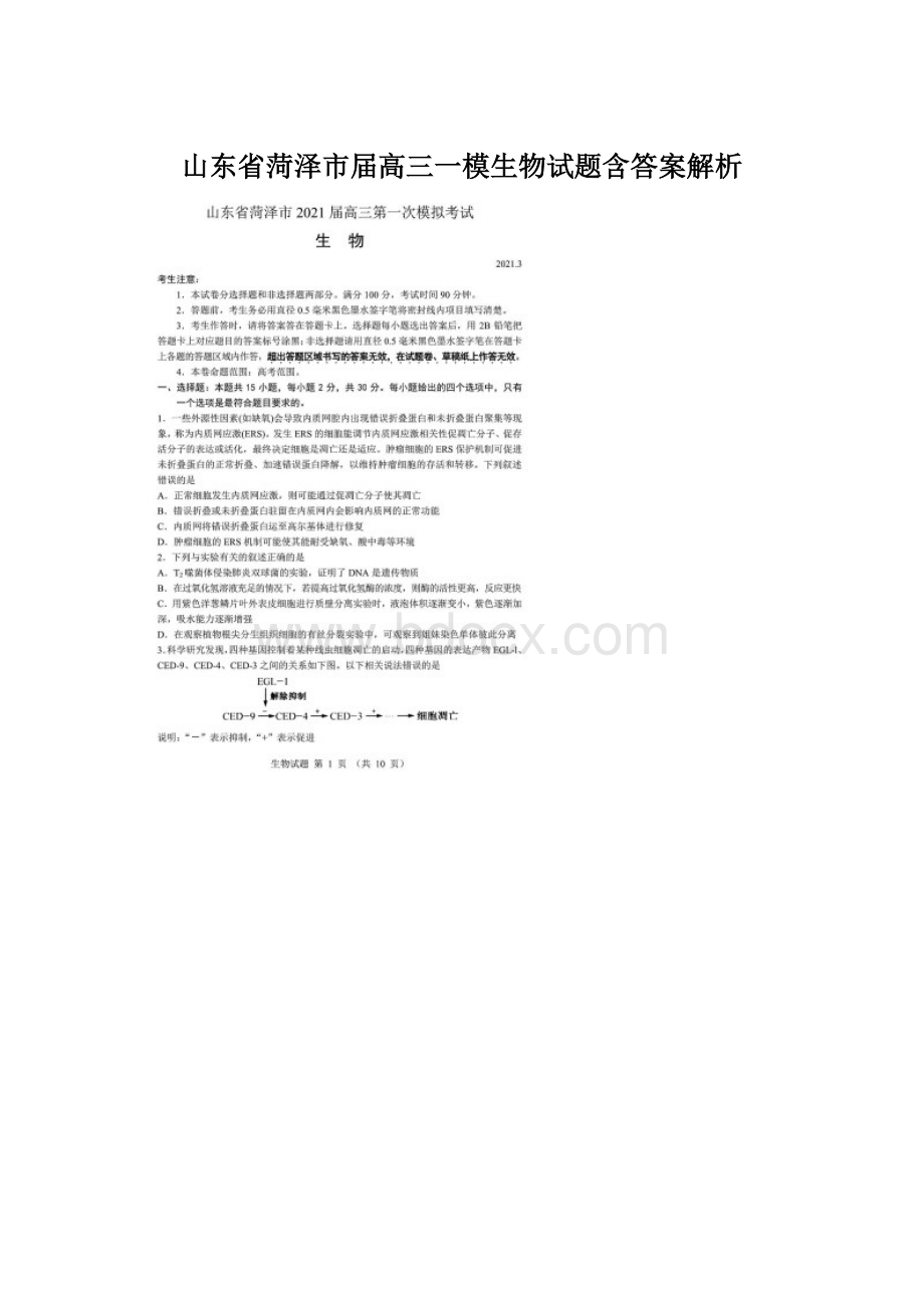 山东省菏泽市届高三一模生物试题含答案解析.docx_第1页