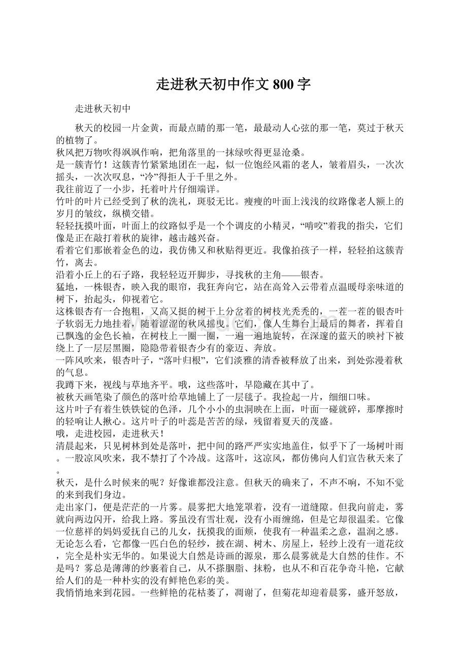 走进秋天初中作文800字Word文件下载.docx_第1页