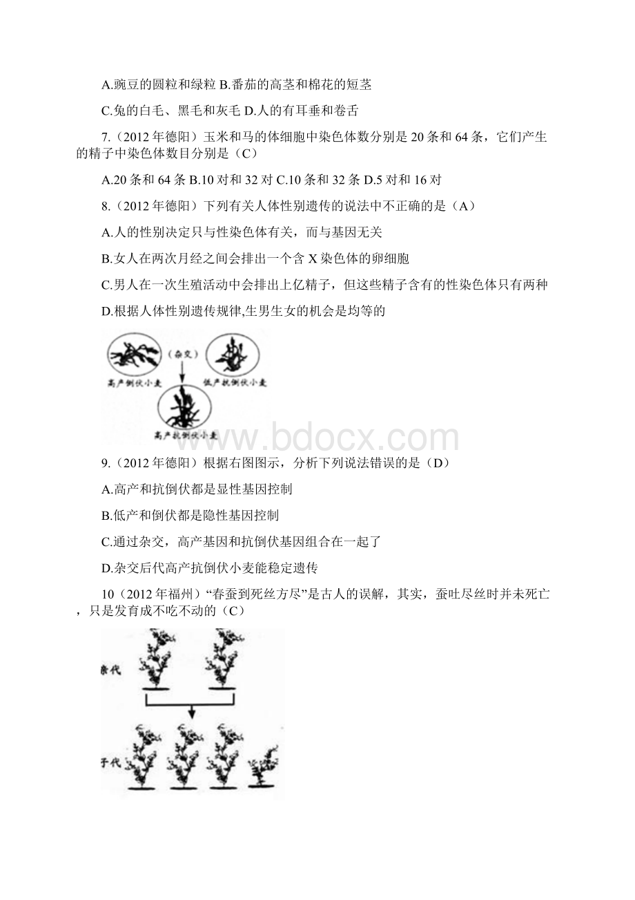 生物中考真题分册汇编八年级下6人教版.docx_第2页