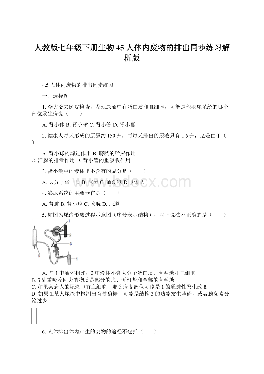 人教版七年级下册生物45人体内废物的排出同步练习解析版.docx_第1页