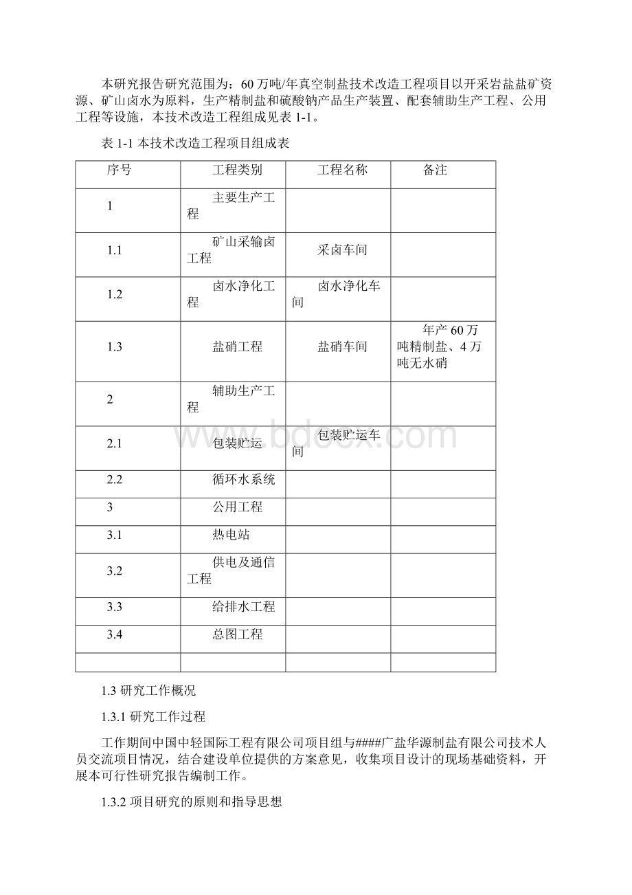 60万吨真空制盐技术改造工程可行性研究报告Word格式.docx_第2页