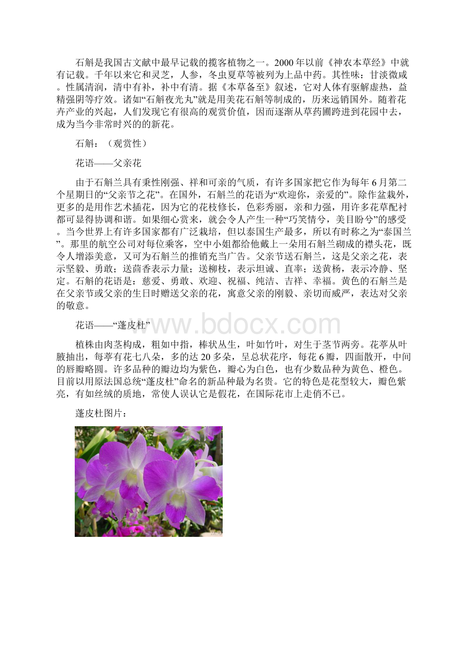 石斛营销策划书Word文档格式.docx_第3页