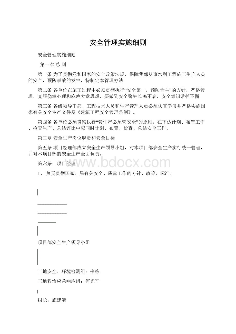 安全管理实施细则文档格式.docx