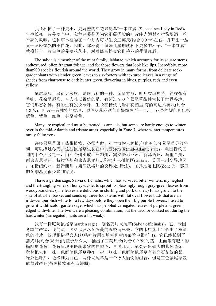 英语美文欣赏鼠尾草你是我最好的舞伴Word下载.docx_第2页