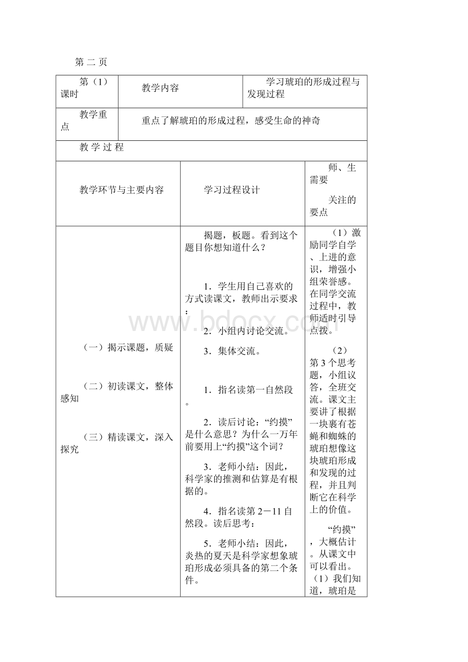 琥珀集体备课记录4.docx_第2页