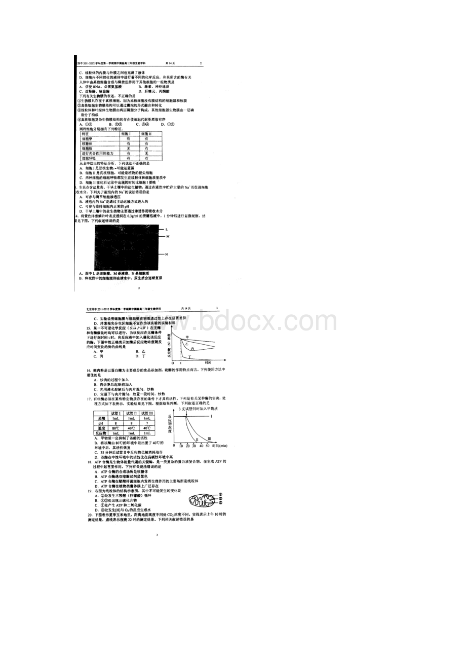 北京四中届高三第一学期期中测试生物.docx_第2页