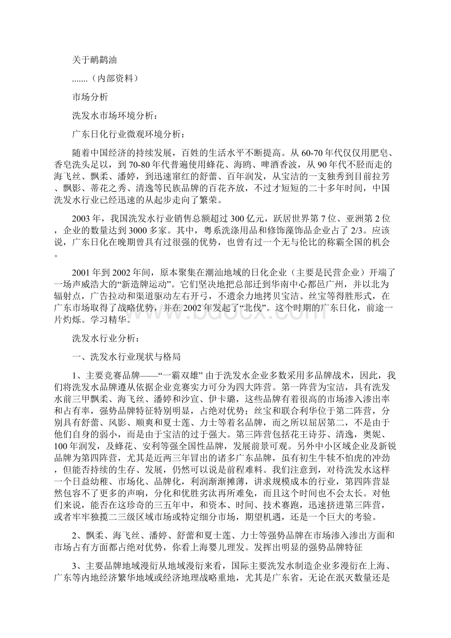 名牌洗发水营销方案设计Word下载.docx_第2页