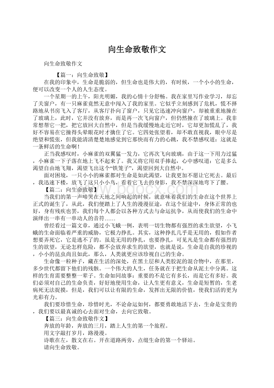 向生命致敬作文Word格式文档下载.docx