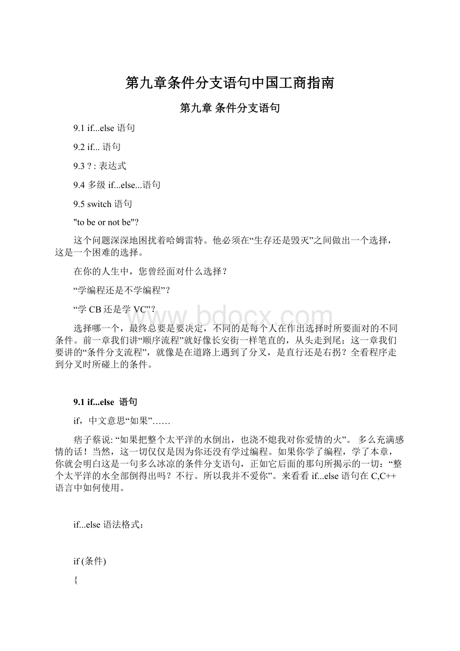 第九章条件分支语句中国工商指南.docx