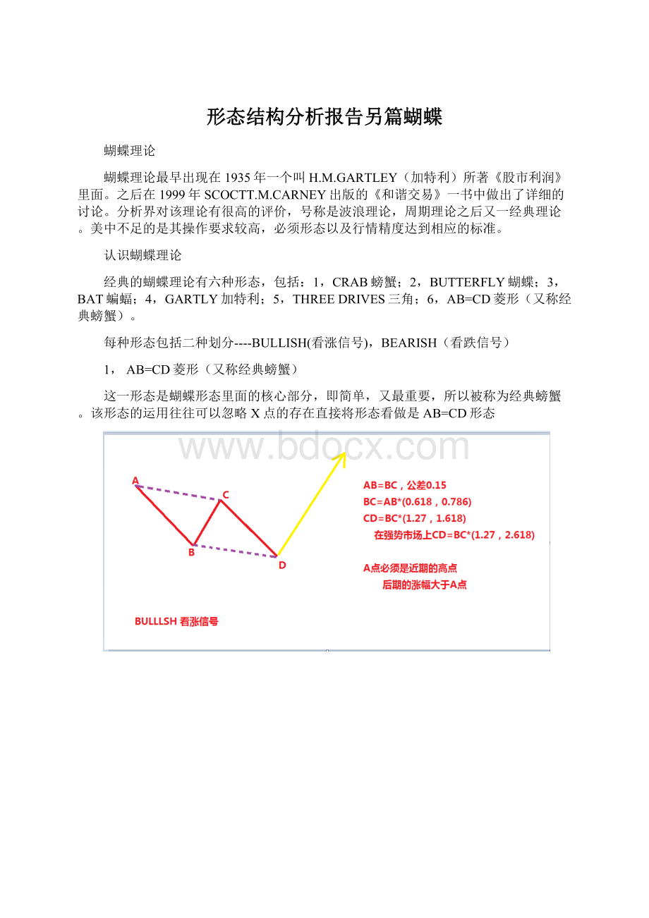 形态结构分析报告另篇蝴蝶.docx