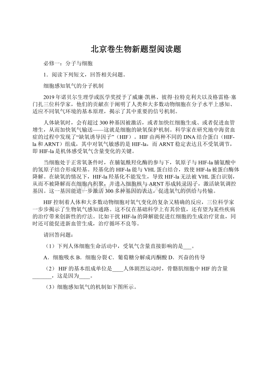 北京卷生物新题型阅读题文档格式.docx