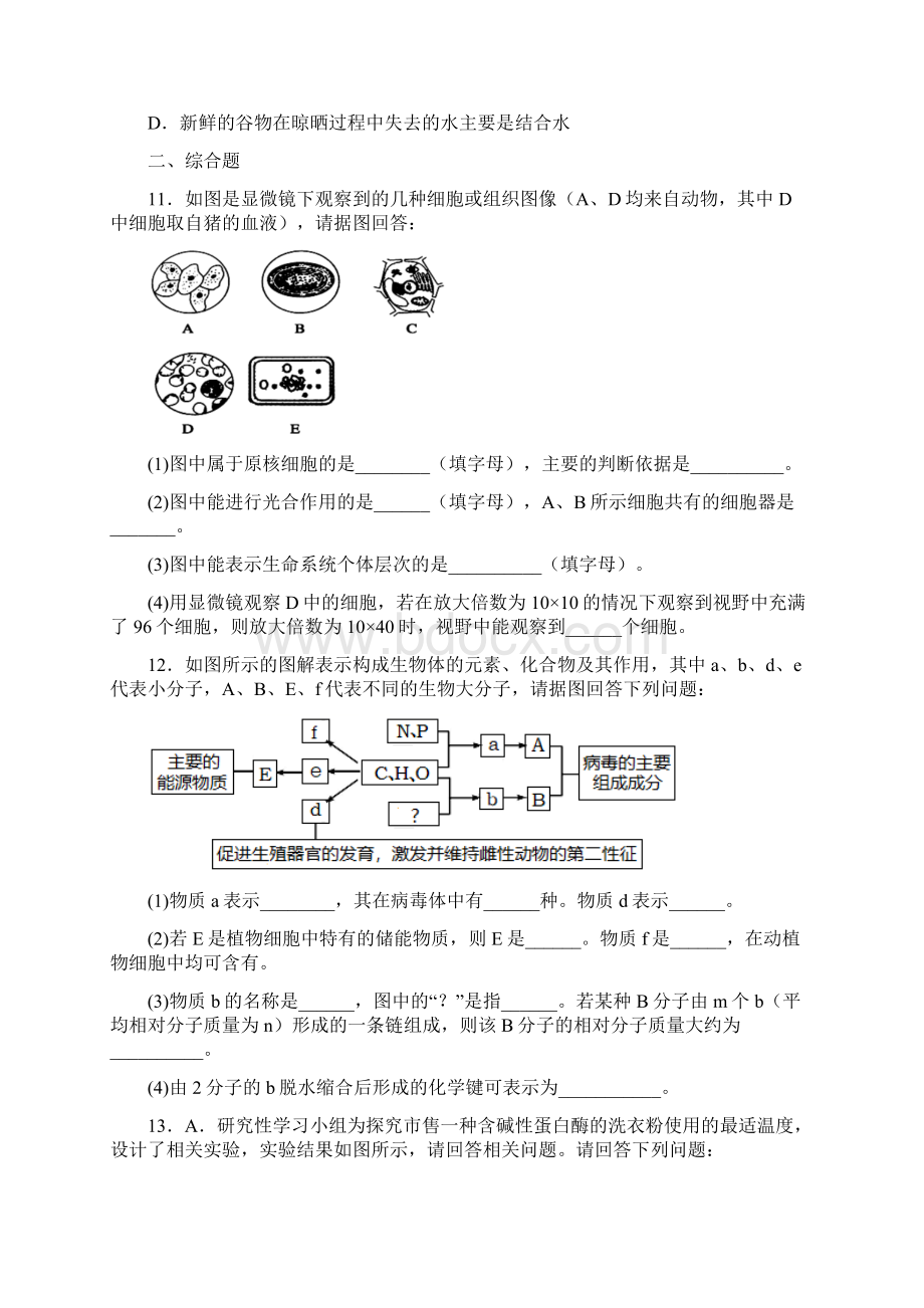 宁夏银川市宁夏大学附中学年高三上学期第一次月考生物试题Word文档下载推荐.docx_第3页