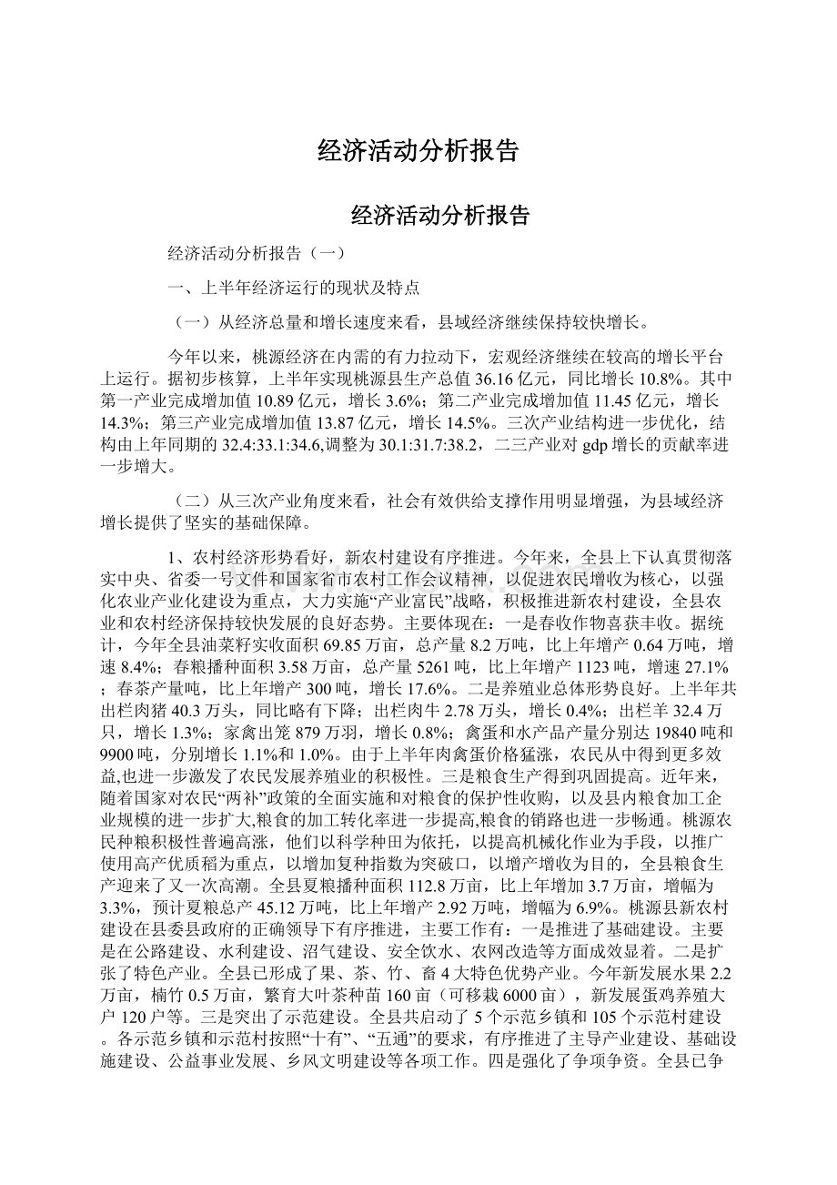 经济活动分析报告.docx