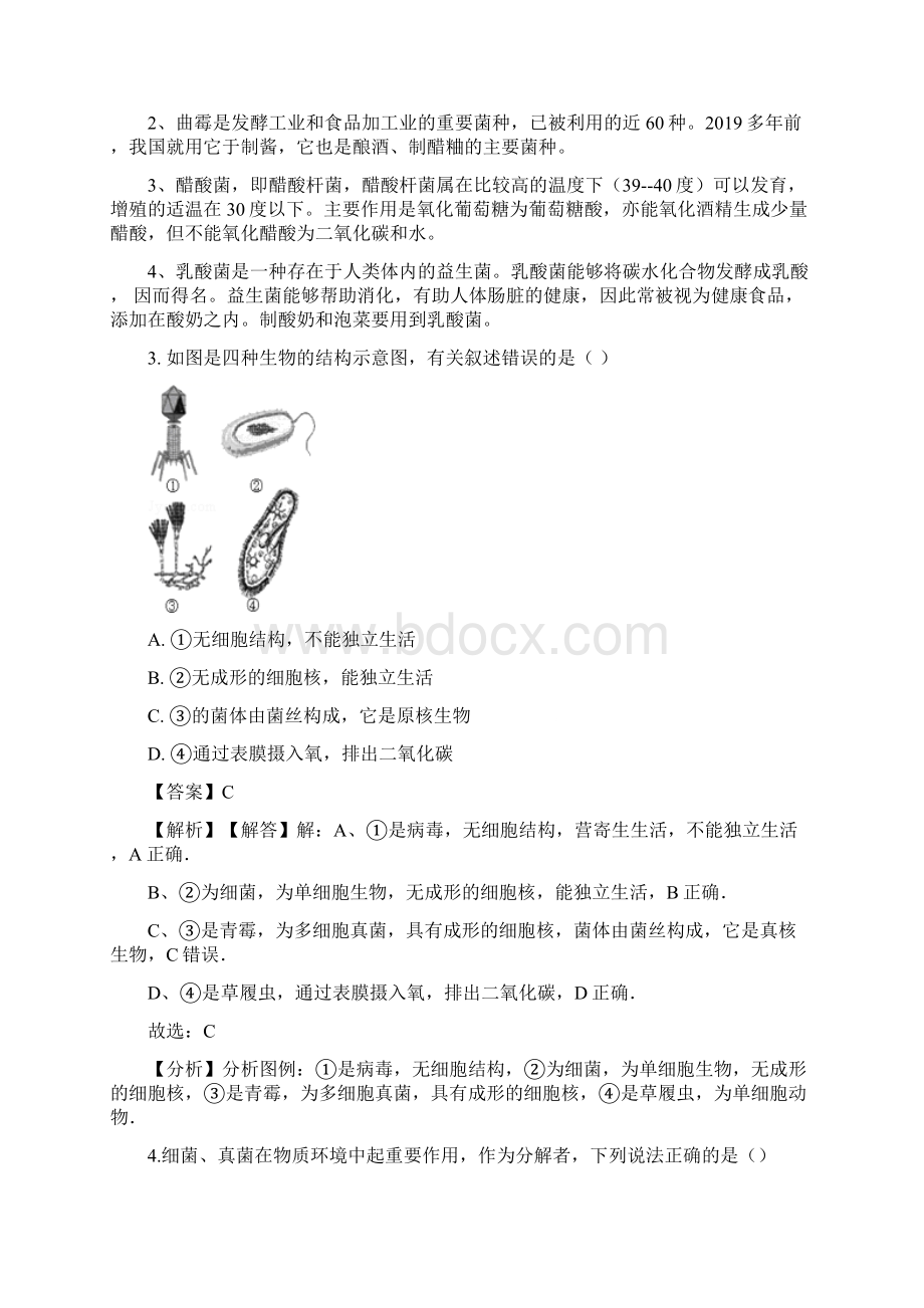 中考生物专题复习模拟演练真菌 解析版Word文档格式.docx_第2页