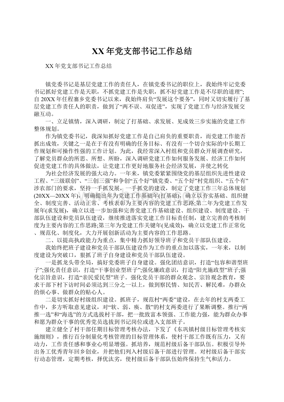 XX年党支部书记工作总结Word文档下载推荐.docx