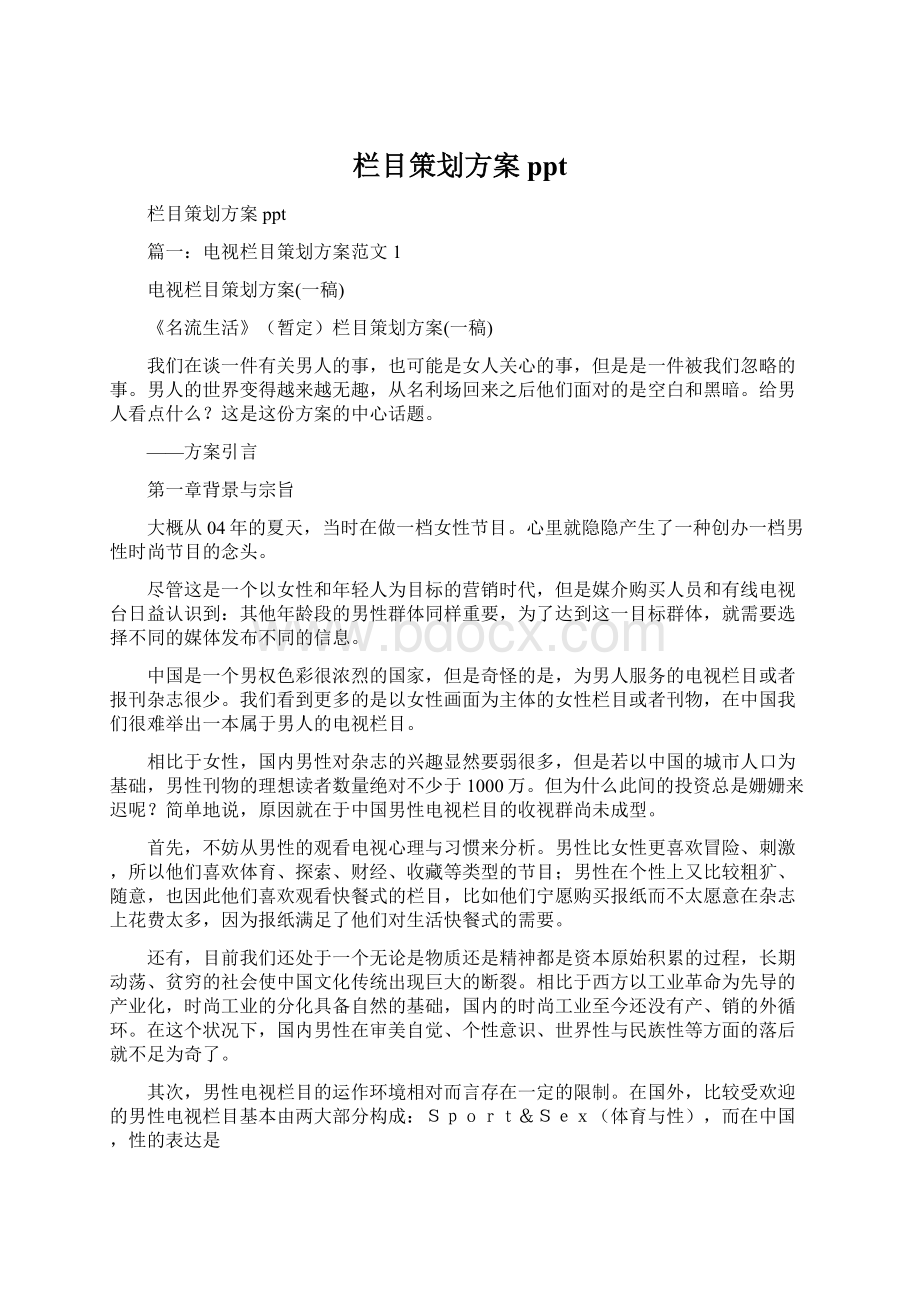 栏目策划方案pptWord文档下载推荐.docx