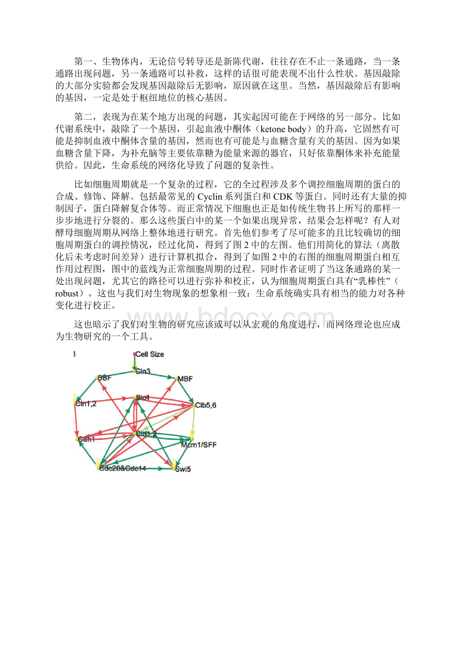 生命科学和数学.docx_第3页