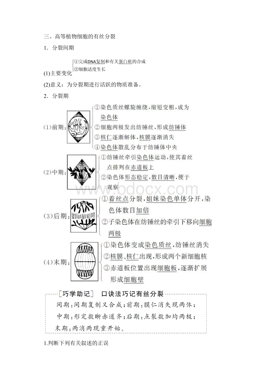 第6章 第1节 第1课时 细胞周期和高等植物细胞的有丝分裂Word文件下载.docx_第3页