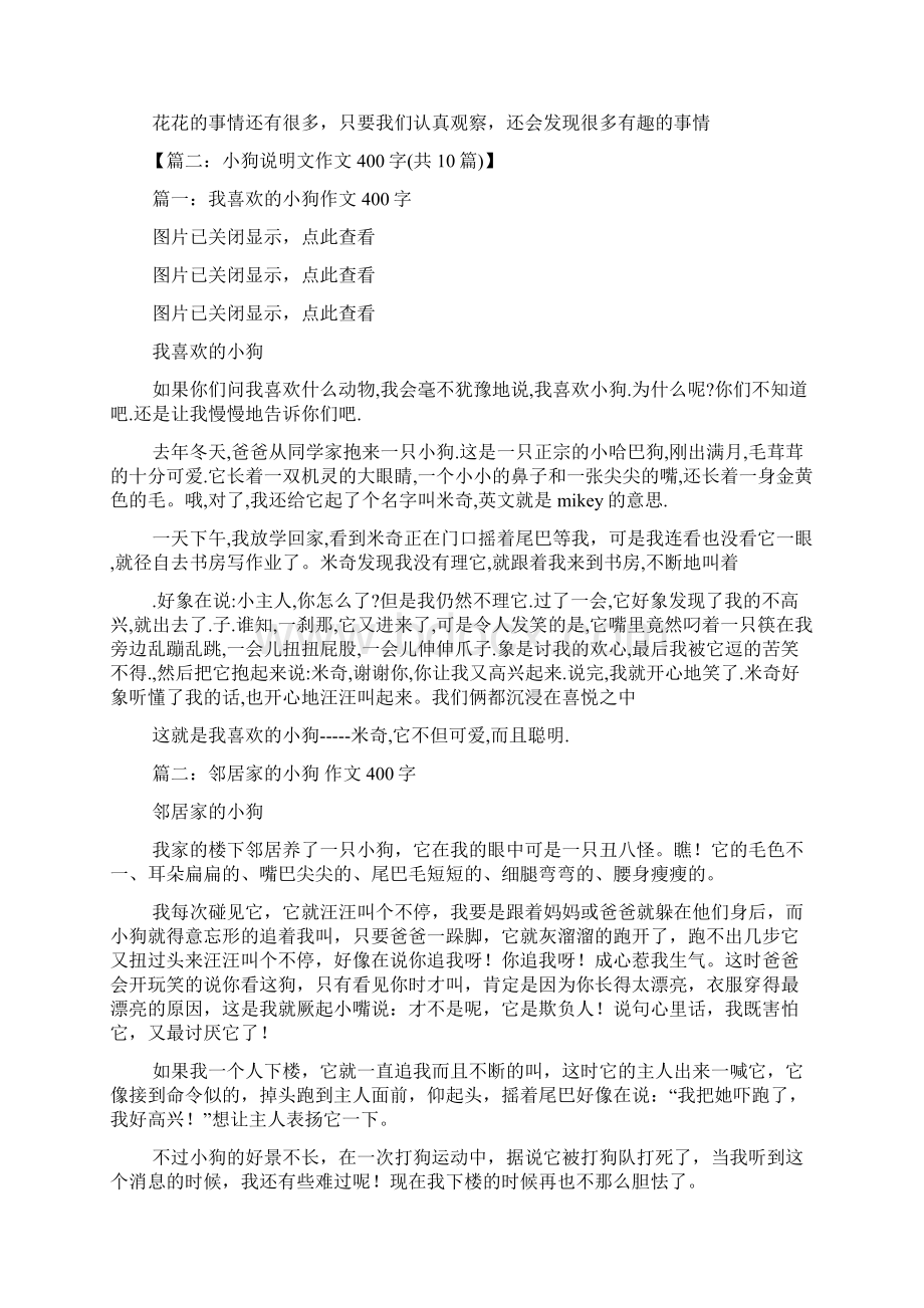 狗作文之小狗玩相作文Word文档下载推荐.docx_第3页