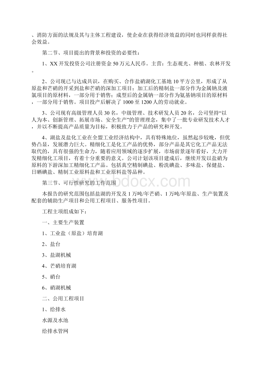 年产1万吨芒硝1万吨原盐盐湖泊开发项目可行性研究报告.docx_第3页