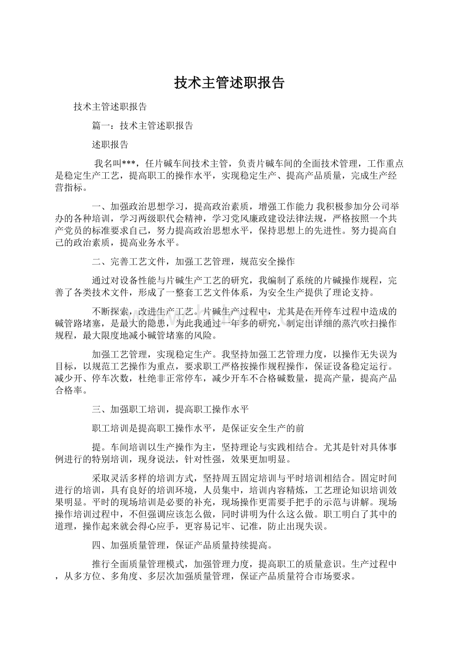 技术主管述职报告.docx