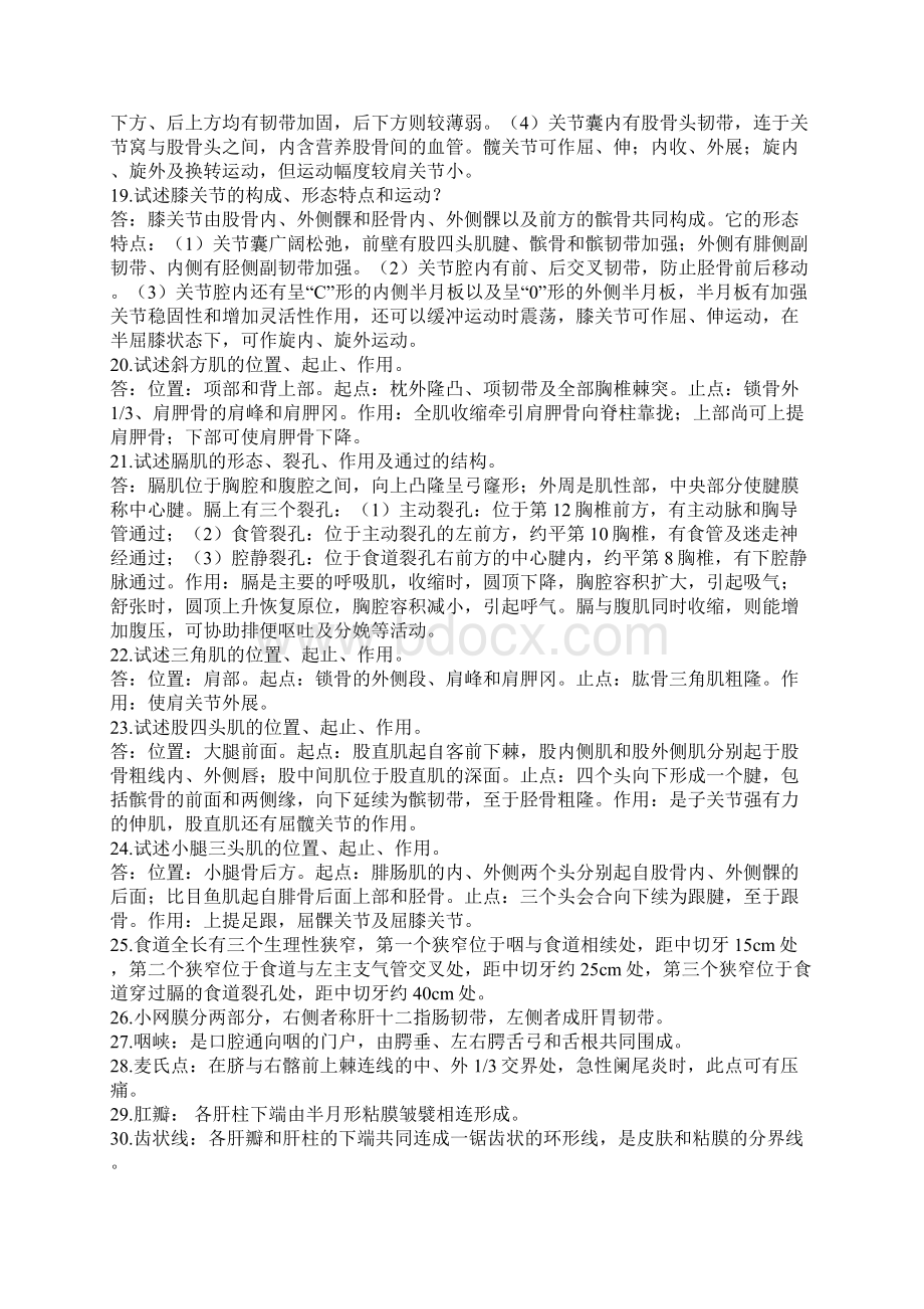 系解概要文档格式.docx_第2页