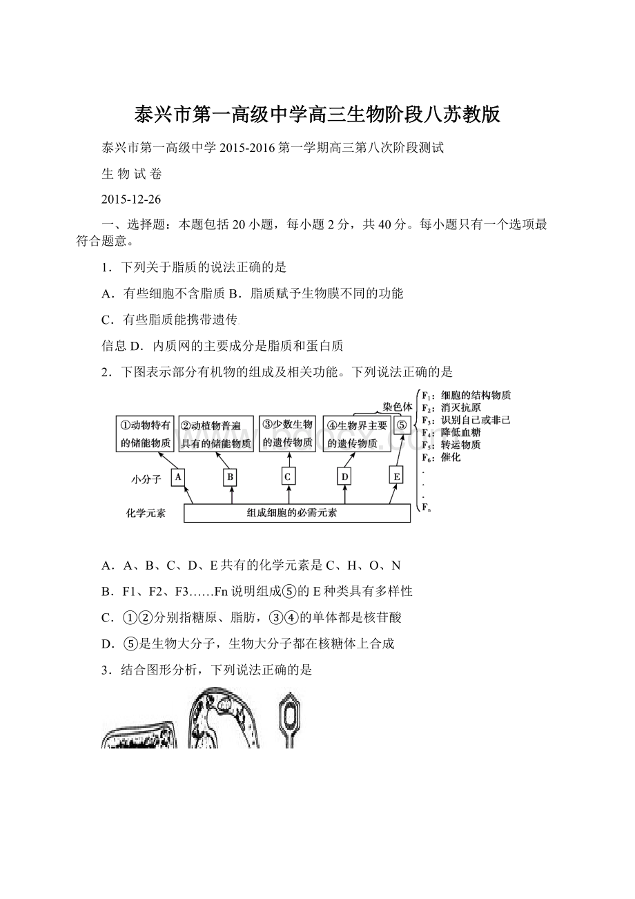 泰兴市第一高级中学高三生物阶段八苏教版.docx_第1页