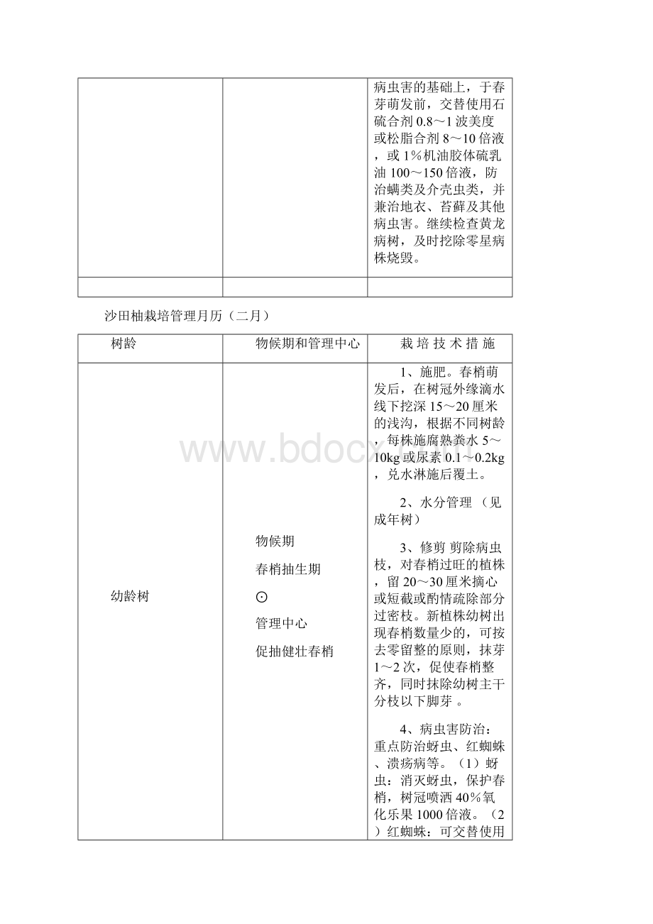 沙田柚管理之月历.docx_第3页