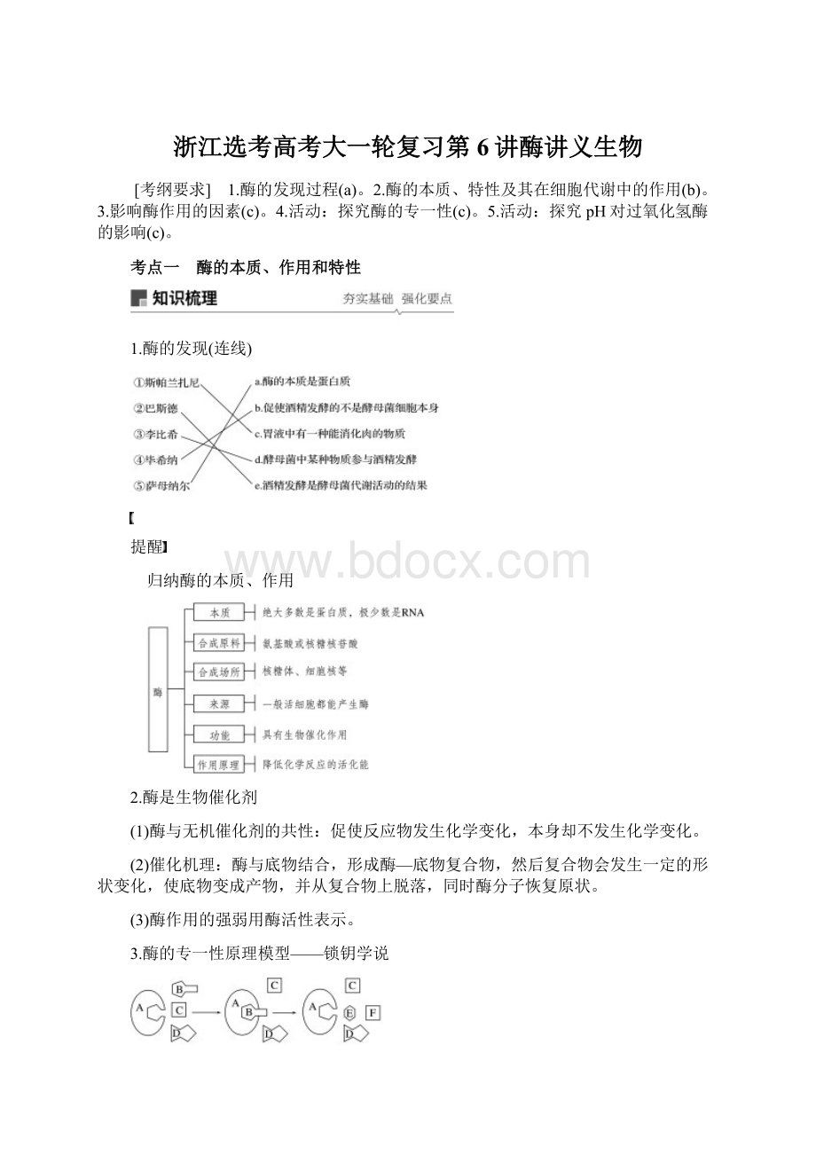 浙江选考高考大一轮复习第6讲酶讲义生物.docx