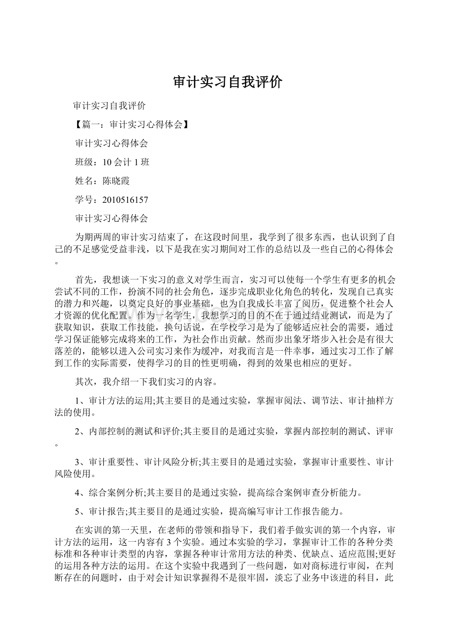 审计实习自我评价Word文档格式.docx