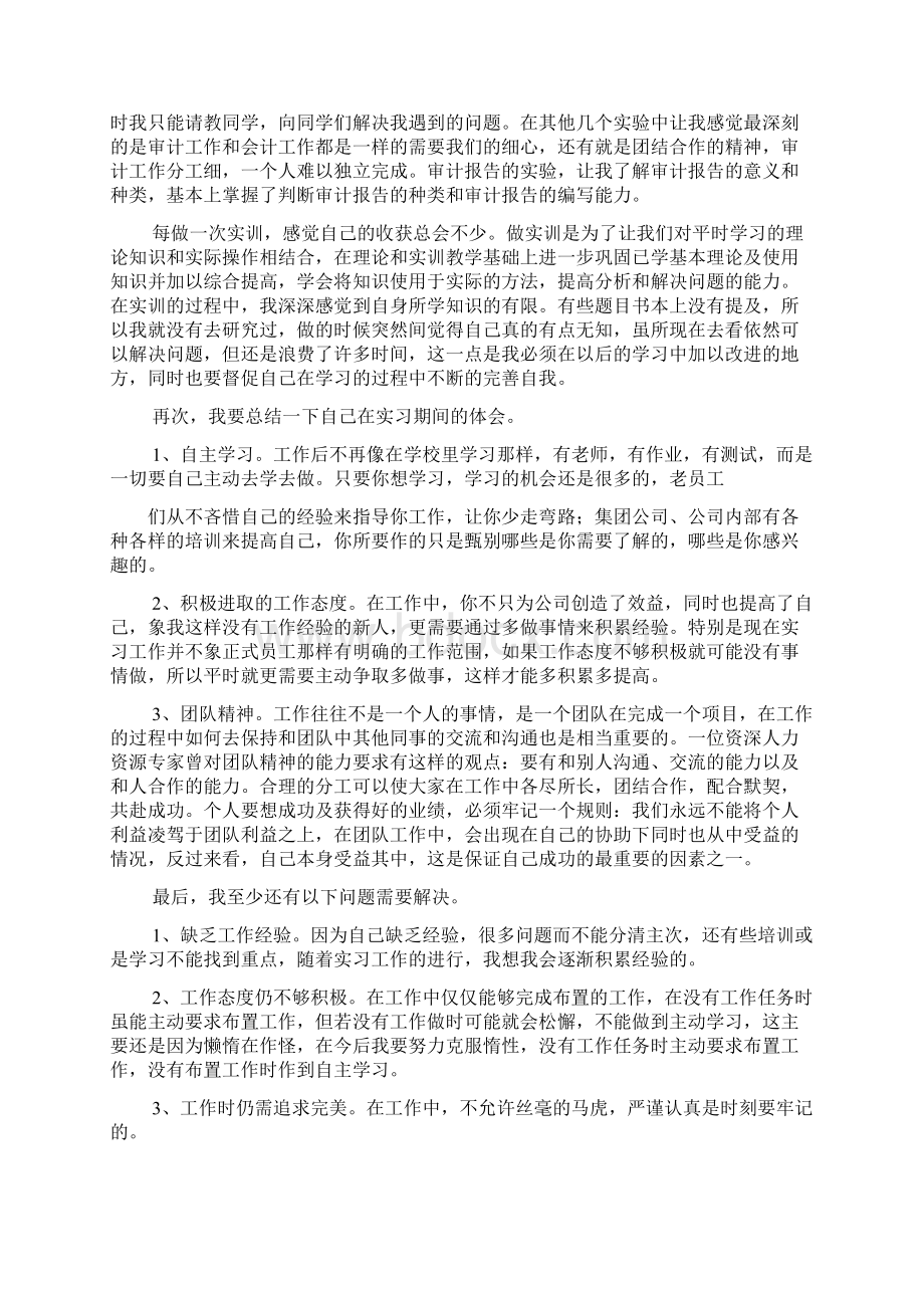 审计实习自我评价Word文档格式.docx_第2页