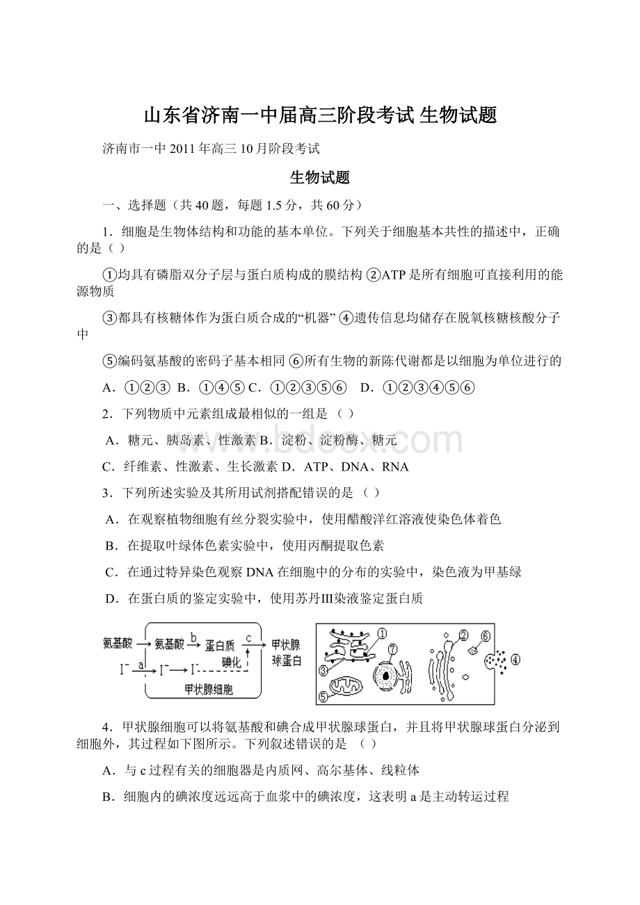 山东省济南一中届高三阶段考试 生物试题.docx_第1页