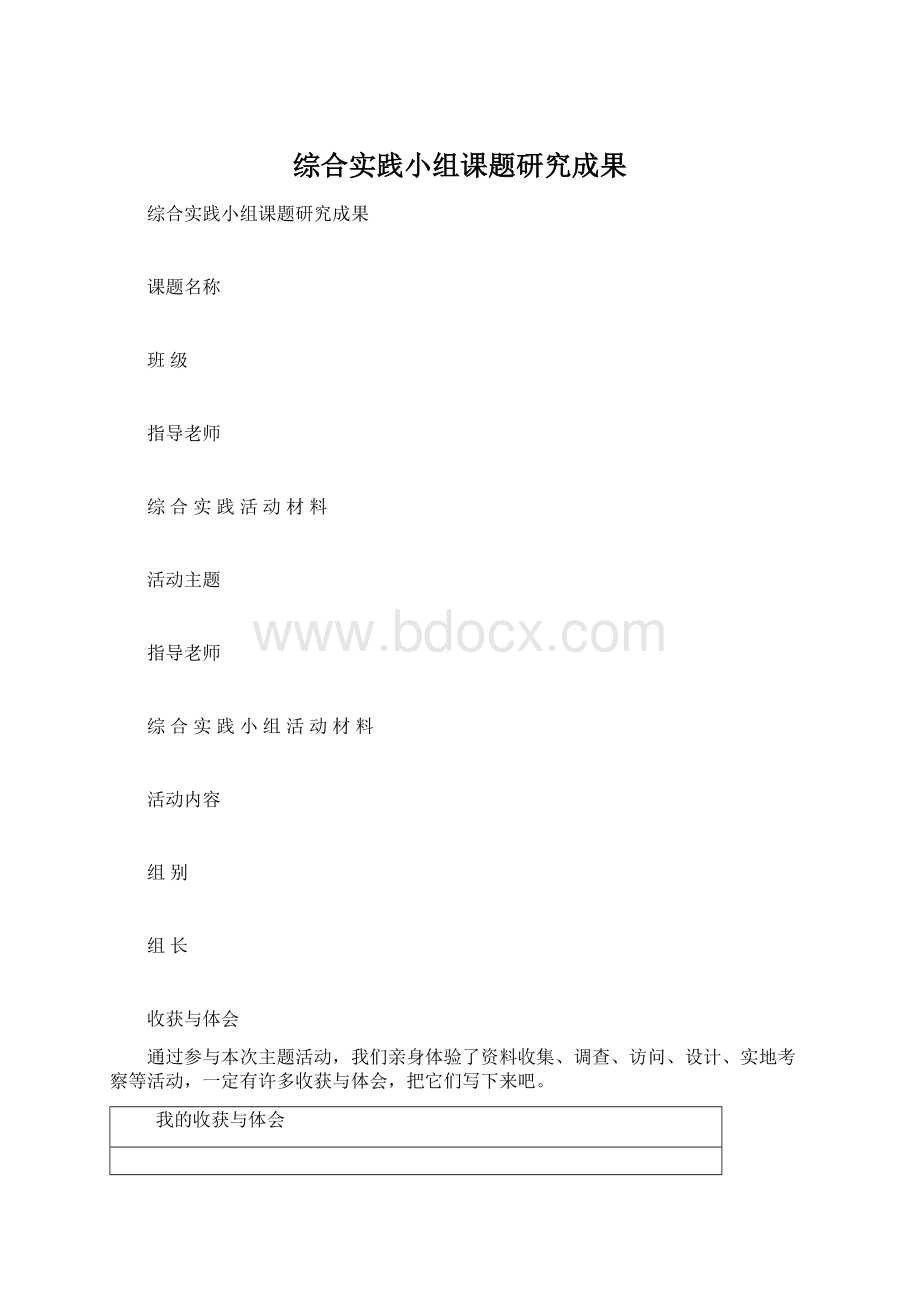 综合实践小组课题研究成果Word下载.docx