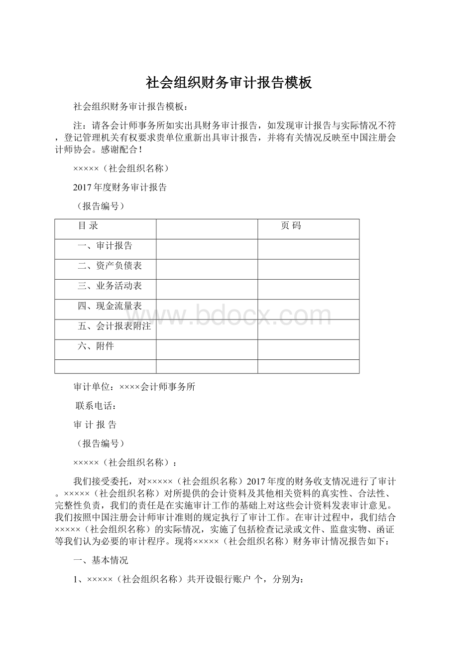 社会组织财务审计报告模板.docx_第1页