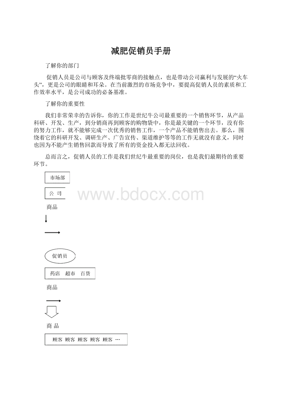 减肥促销员手册文档格式.docx