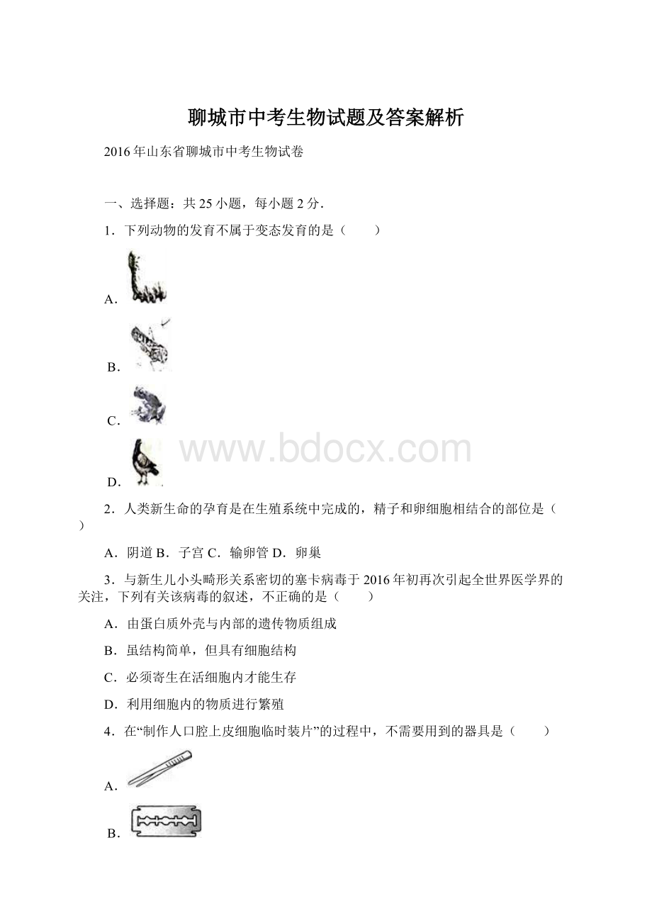 聊城市中考生物试题及答案解析Word文档下载推荐.docx_第1页