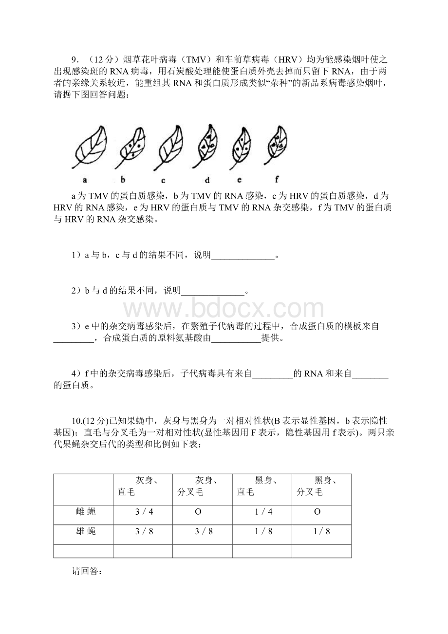 生物的遗传检测题.docx_第3页