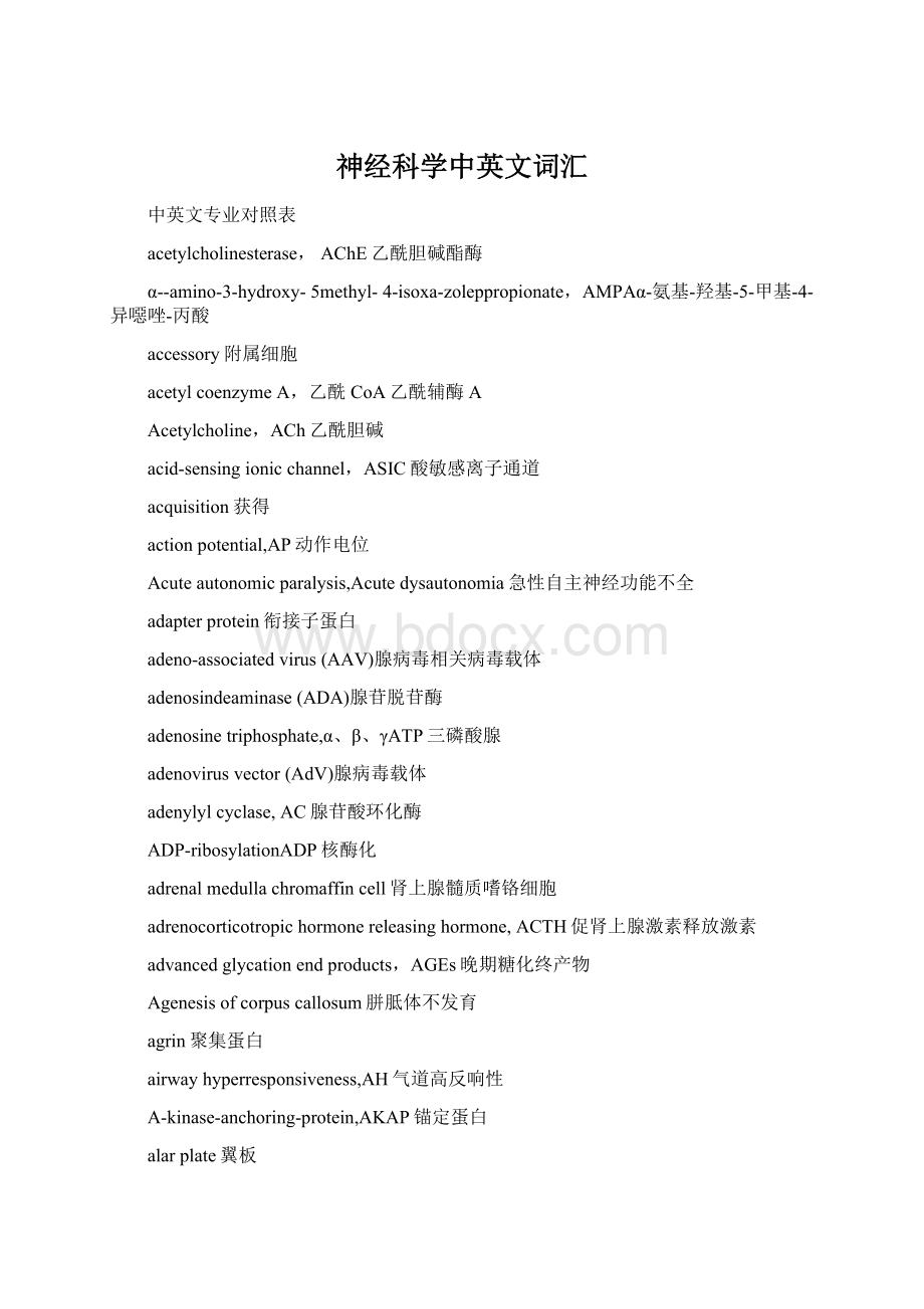 神经科学中英文词汇Word下载.docx_第1页