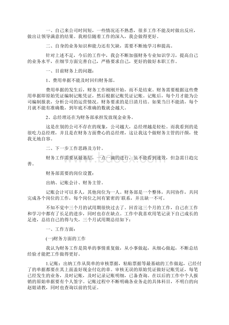 出纳试用期的工作总结最新Word格式文档下载.docx_第3页